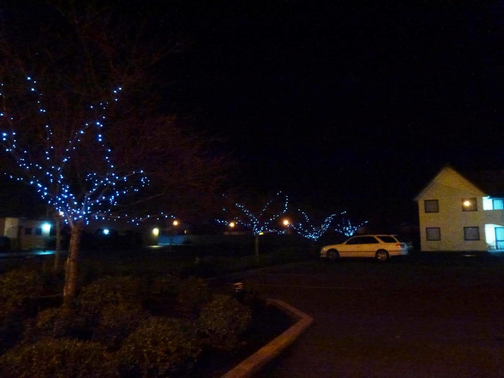 Bella Vista Motel Mosgiel Luaran gambar
